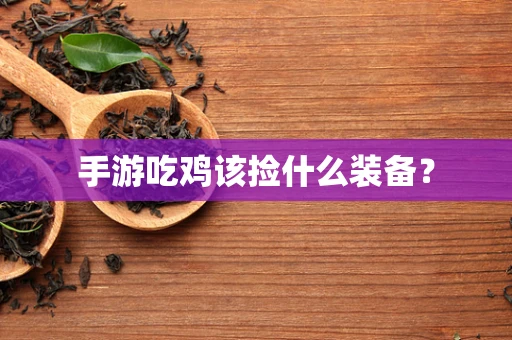 手游吃鸡该捡什么装备？