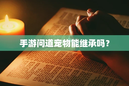 手游问道宠物能继承吗？