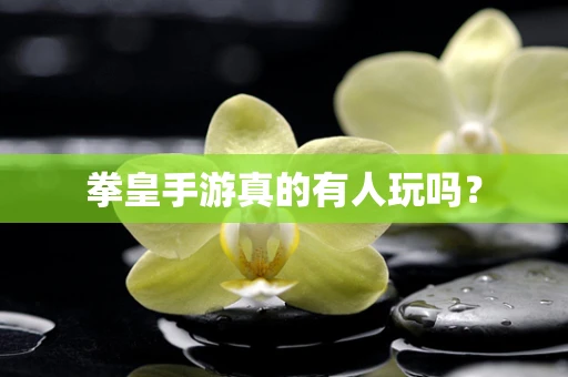 拳皇手游真的有人玩吗？