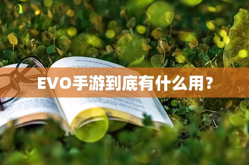 EVO手游到底有什么用？