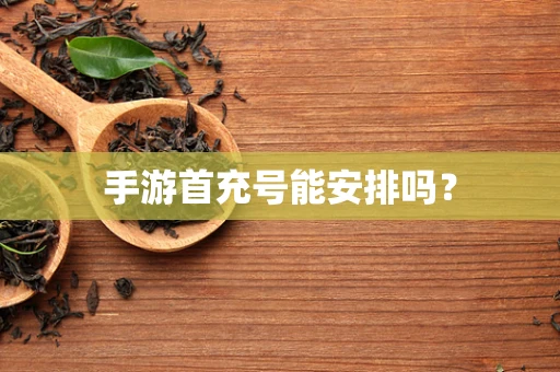 手游首充号能安排吗？