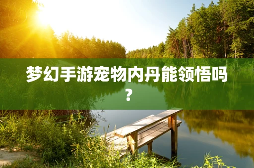 梦幻手游宠物内丹能领悟吗？