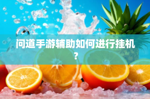 问道手游辅助如何进行挂机？