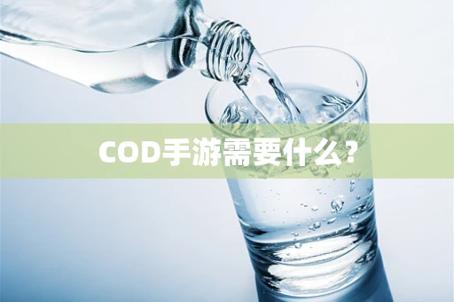 COD手游需要什么？
