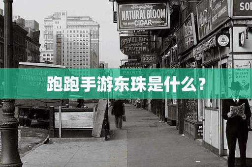 跑跑手游东珠是什么？