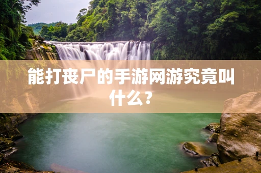 能打丧尸的手游网游究竟叫什么？