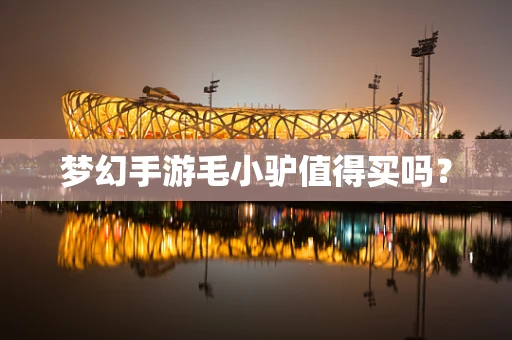 梦幻手游毛小驴值得买吗？