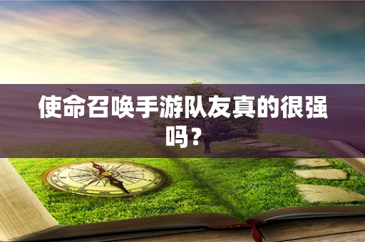 使命召唤手游队友真的很强吗？