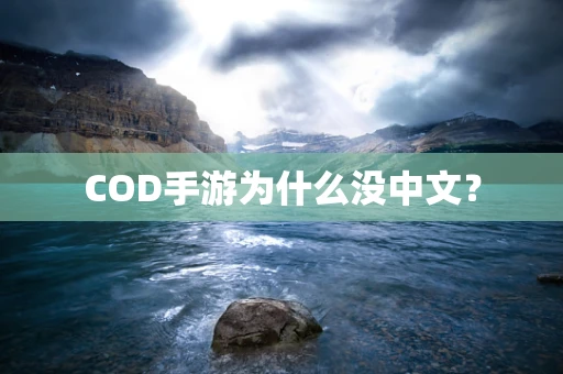 COD手游为什么没中文？