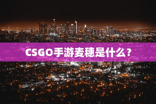 CSGO手游麦穗是什么？